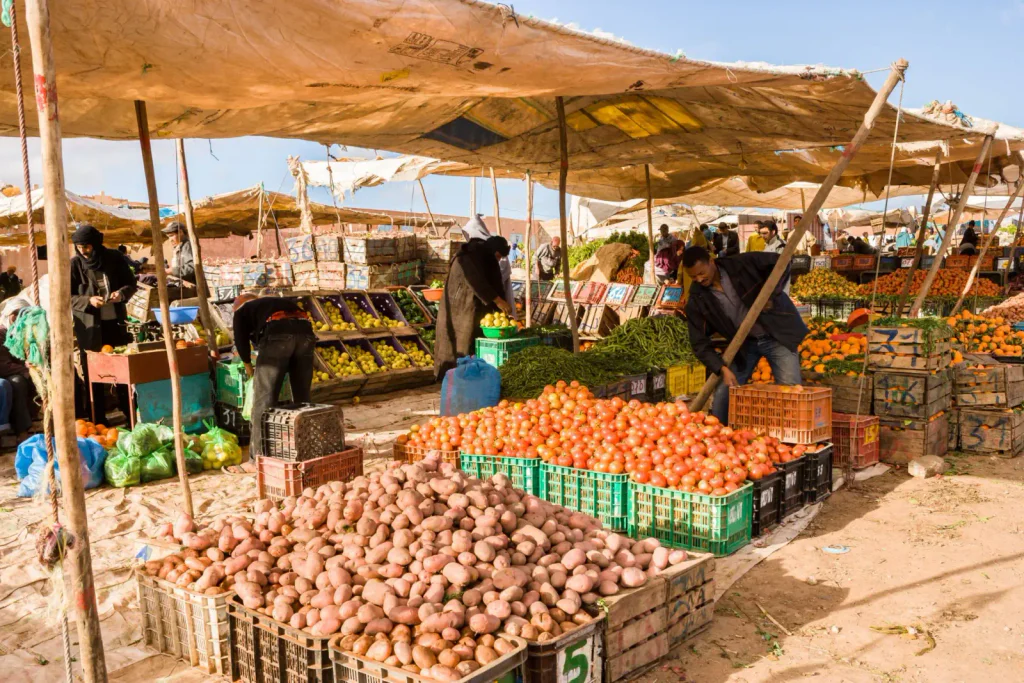 Marocká tržnice za krásného letního dne. Vidět jsou různé přístřeší i kupy ovoce a zeleniny.