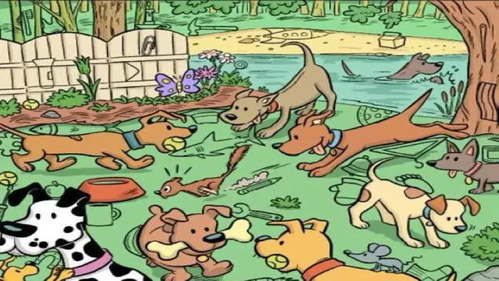 Nečekaný předmět