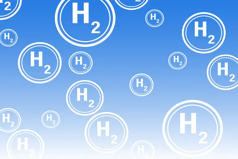 H2
