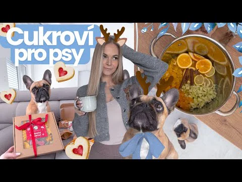 Video k článku