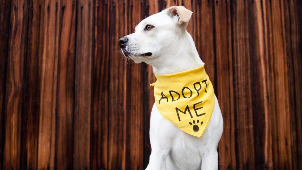 Pro empatické a vstřícné osoby