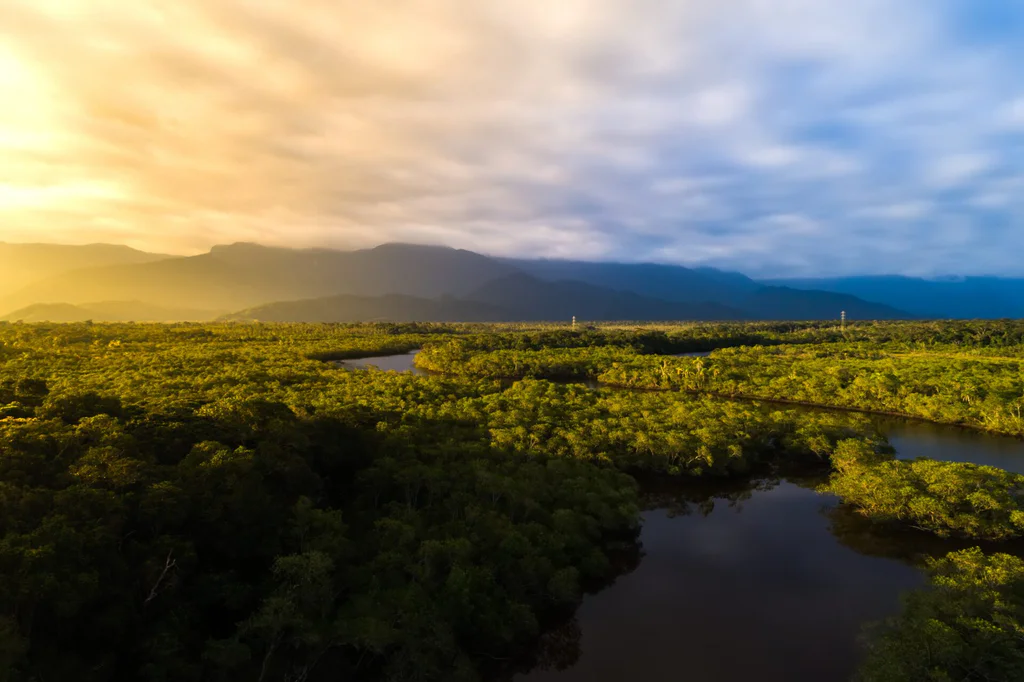 Amazonský deštný prales je zásadně podílí na stabilizaci klimatu. 