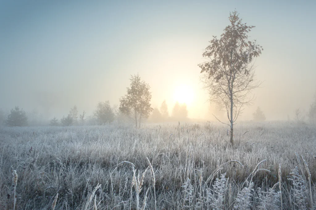 Změna počasí zmátla i odborníky. Česko čekají dva extrémy, které se mohou zvrtnout během pár hodin.