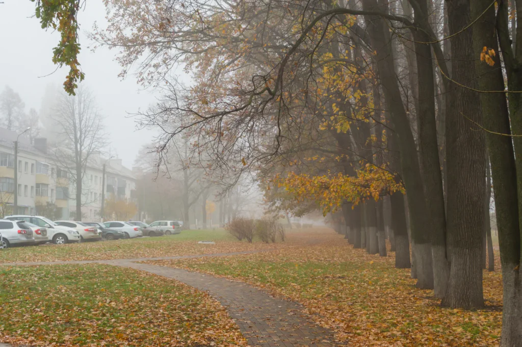 Meteorologové přiznávají nejistotu. Dva zvraty míří k Česku a situace se může vymknout kontrole.