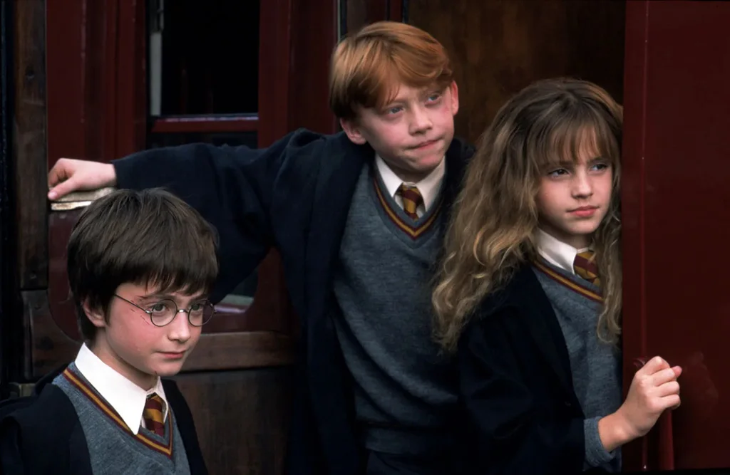 Harry Potter a kámen mudrců