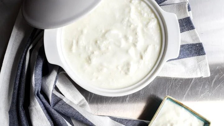 Jogurt a kefír: Mléčné probiotické poklady