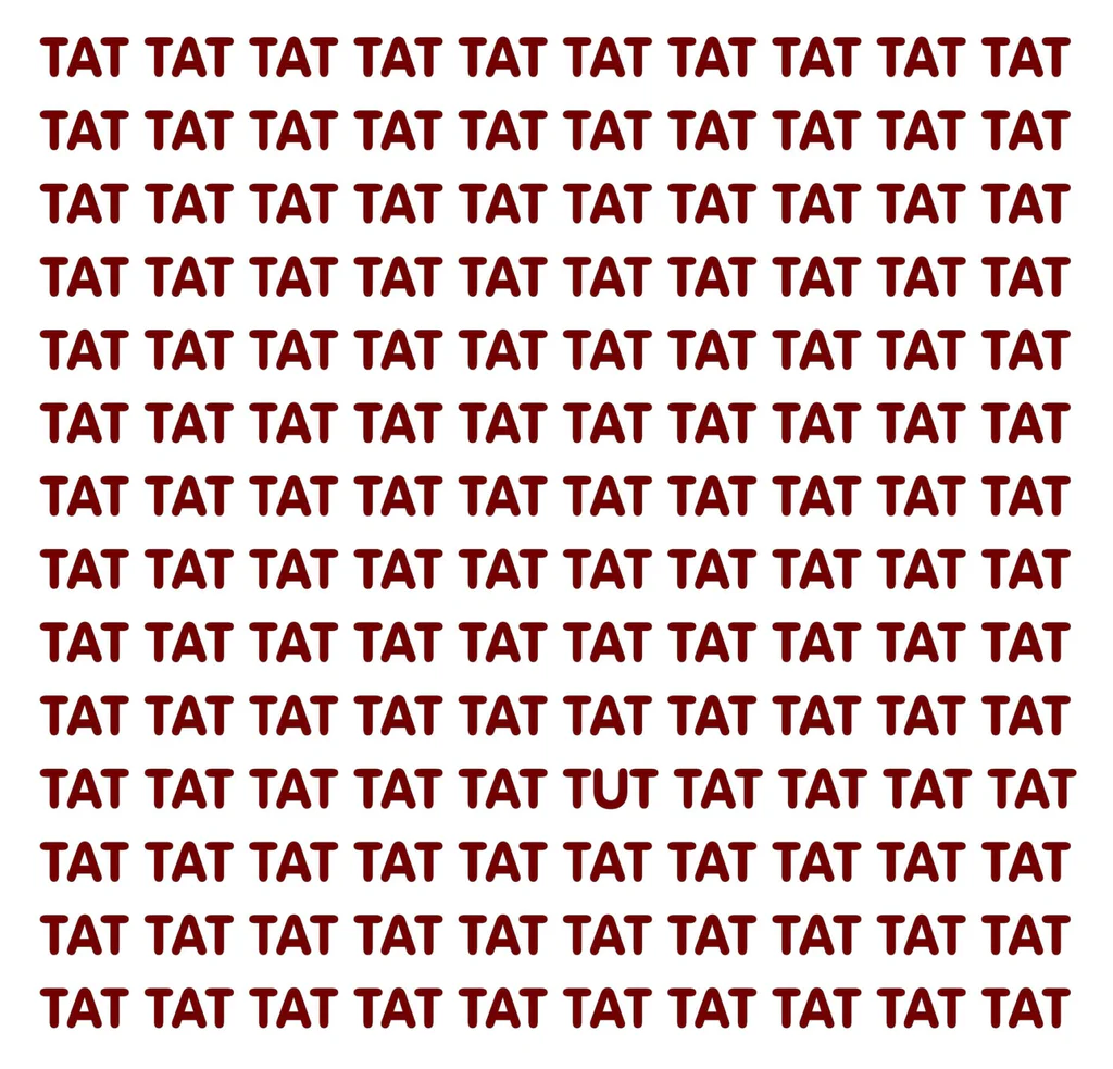 Najděte odlišné slovo.