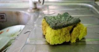 Kde se v kuchyni schovává nejvíc bakterií? Houbička to není, to koření je hotovým semeništěm