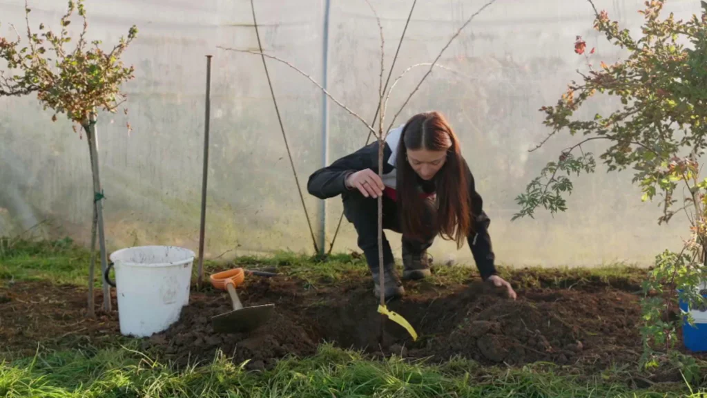 Receptář Prima nápadů, FOTO: Distr. FTV Prima