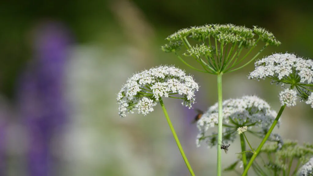 Kdo by měl být opatrný