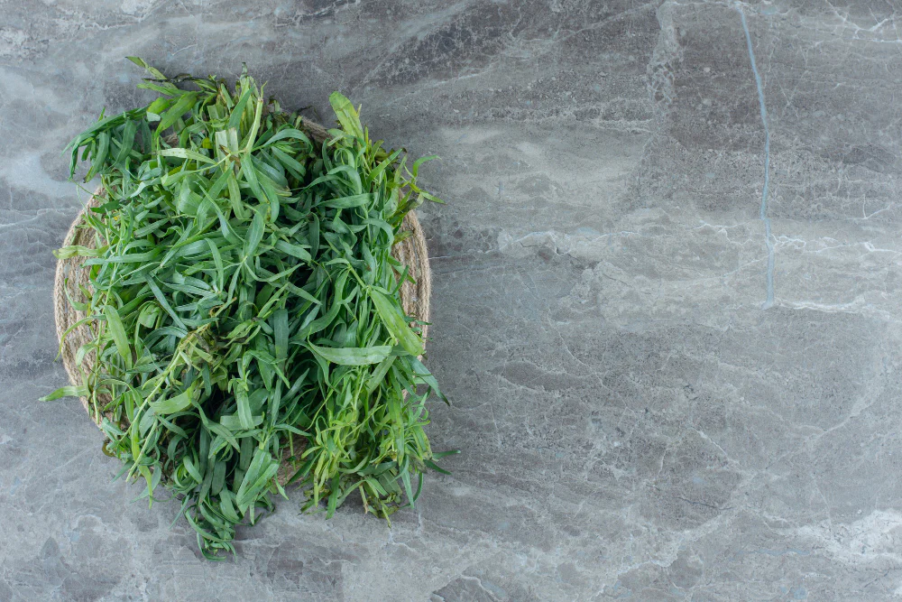 Čerstvý estragon na misce na mramorovém stole