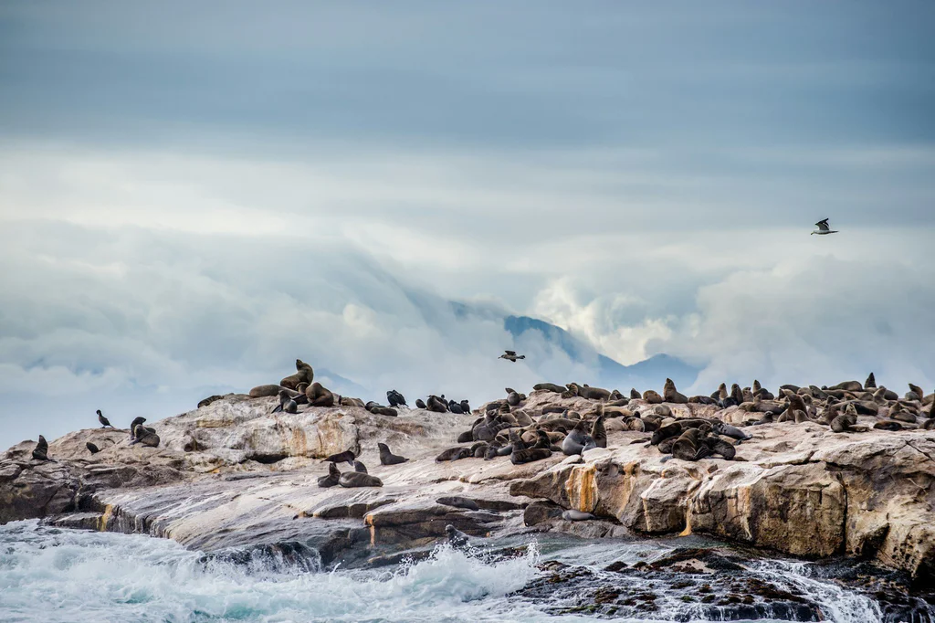 getty-images-oqPNp6rqmps-unsplash