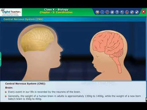 Video k článku ZDE