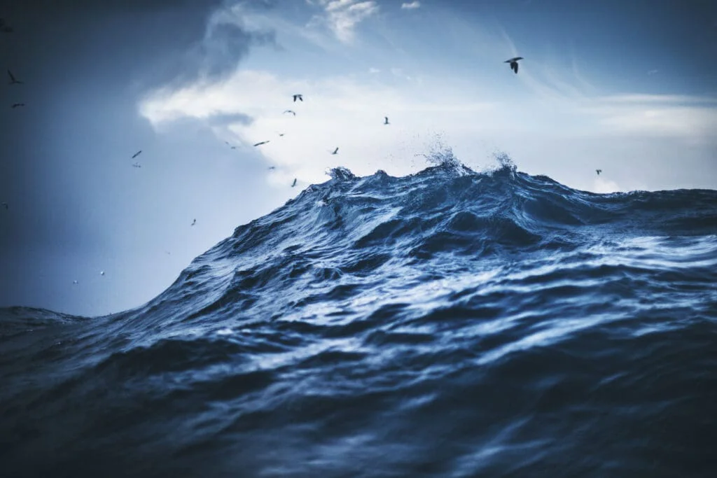 Škeble z Islandu odhalila tajemství oceánů. A možná i budoucnost Evropy