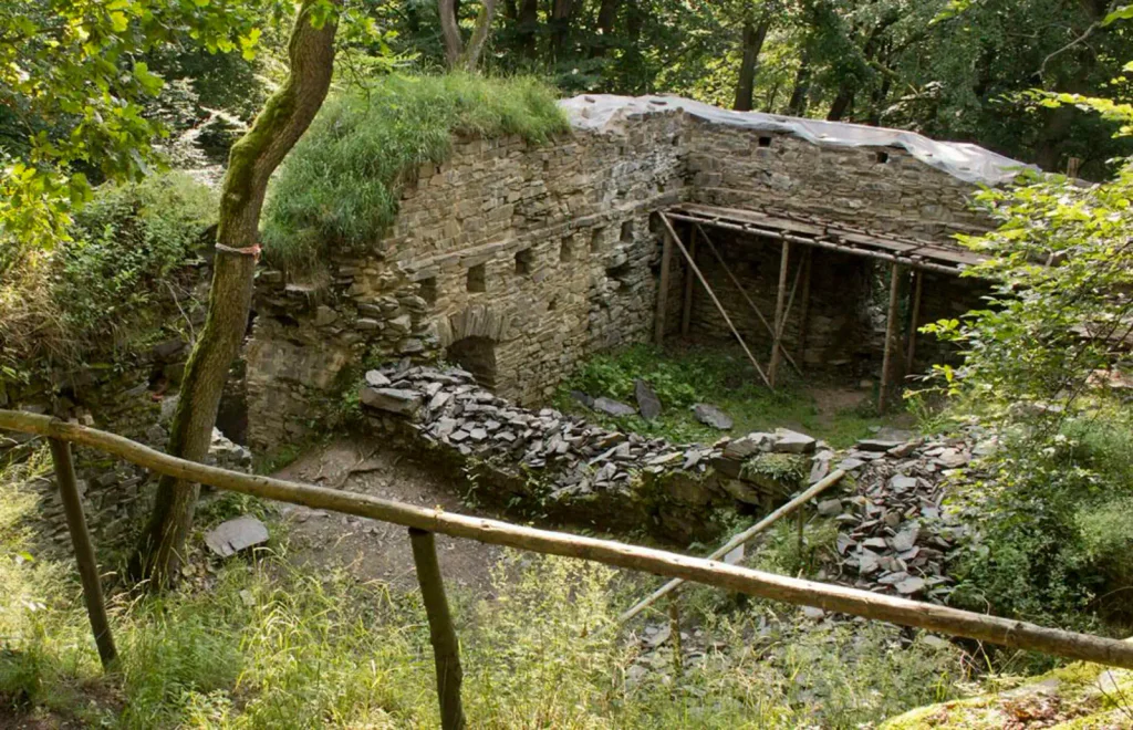Vnitřek zříceniny hradu Jenčov. Vidět jde také zeleň okolí.
