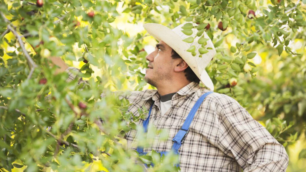 Vertikální farma Bowery