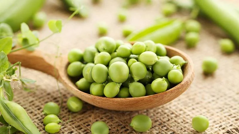 Kdy a jak vysazovat hrách? Připravte mu vhodné podmínky