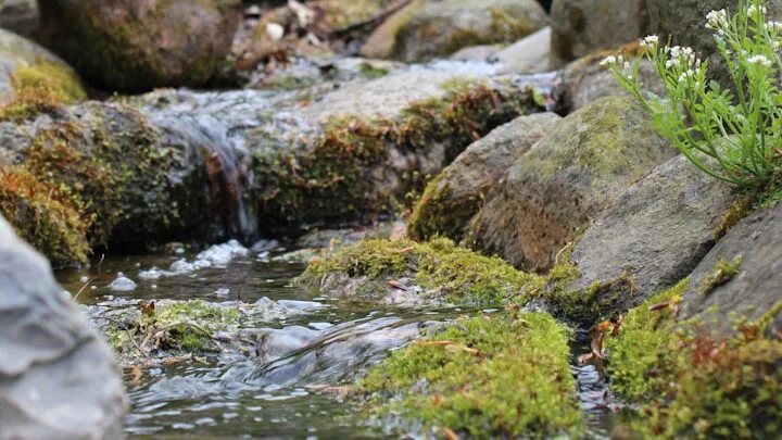 Dopad na životní prostředí