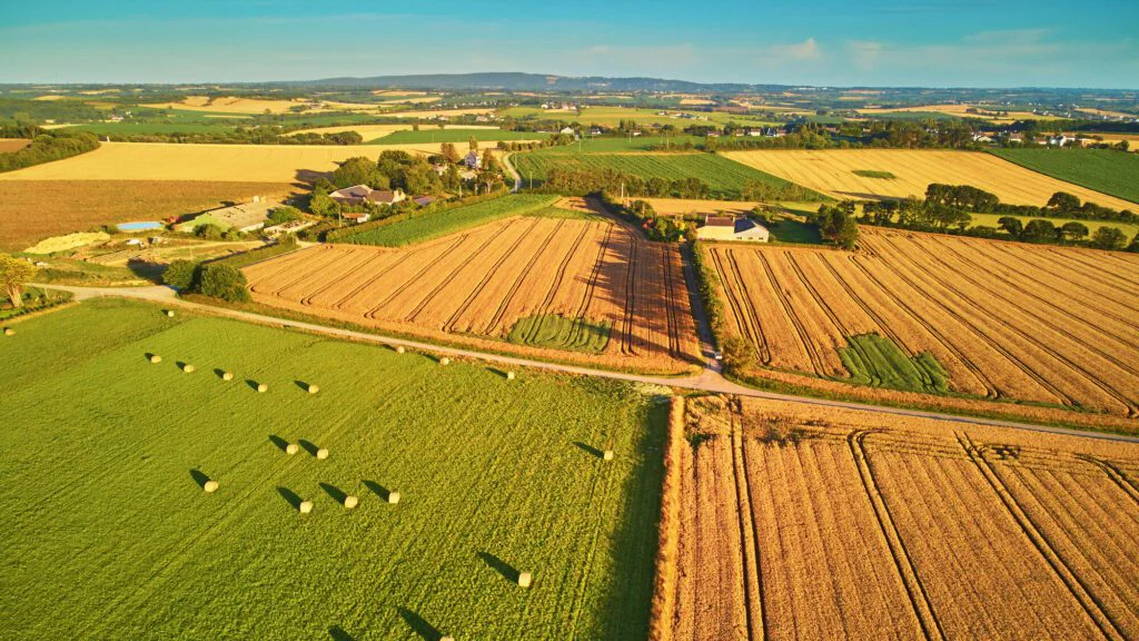Pesticidy a zemědělství