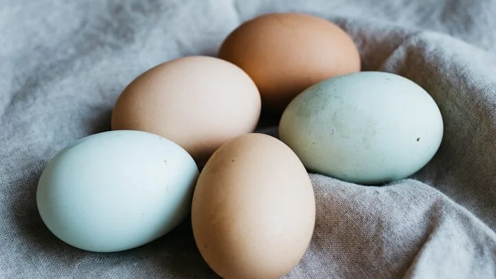 Jak dlouho vydrží vejce v lednici