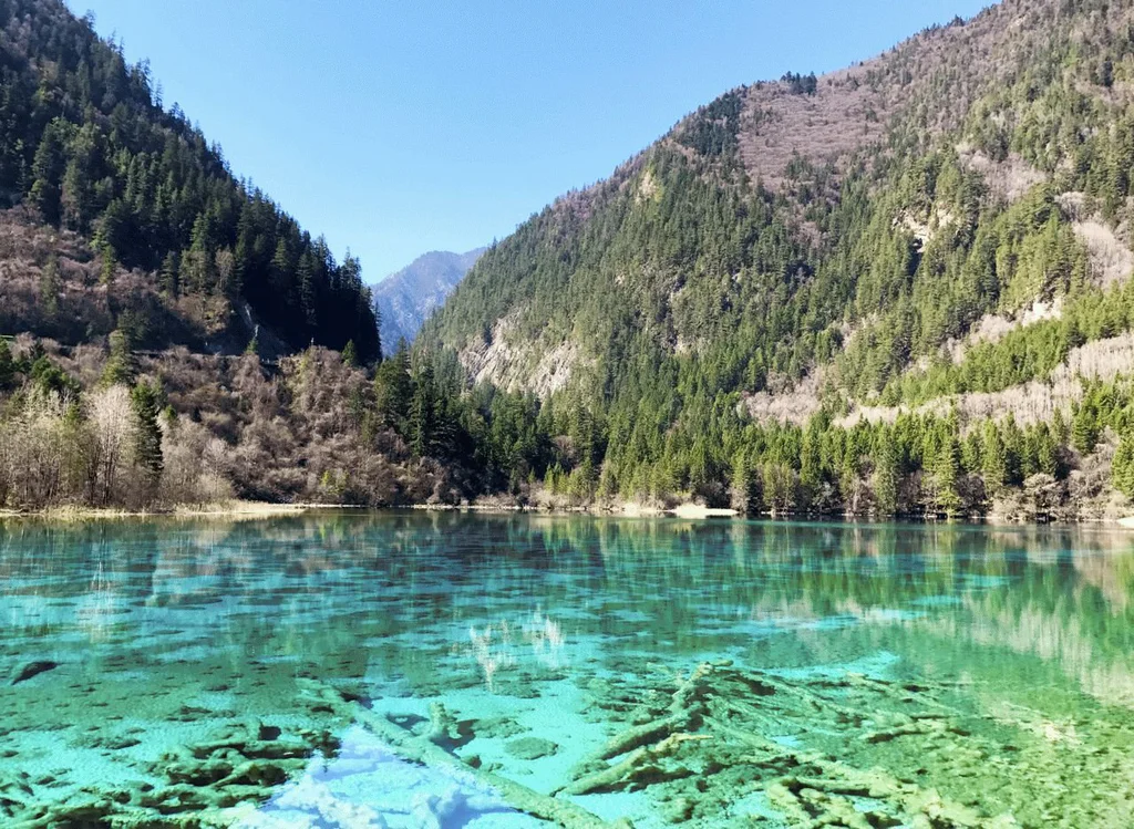 Beauty_of_Jiuzhaigou_National_Park_-_Apr_2017