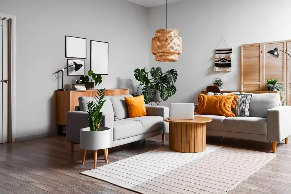 Monstera oživí váš obývací pokoj