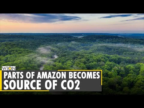 Video k článku ZDE