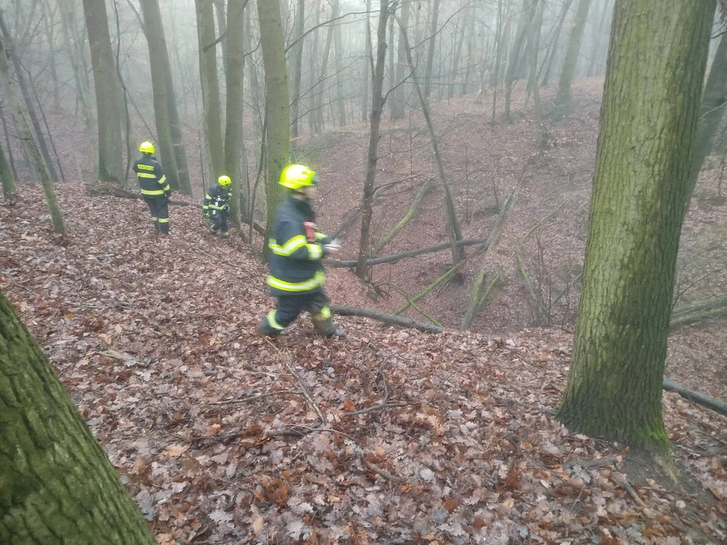 Po chlapci dál pátrají hasiči i policisté. Foto: SDH / Josef Gabrhelík