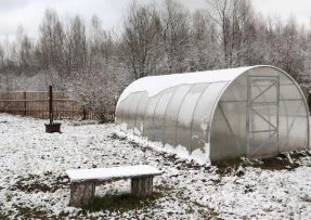 Jak na zazimování rostlin na zahradě: K ruce si vezměte textilii i provázek