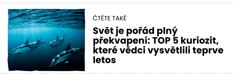 čTĚTE TAKÉ