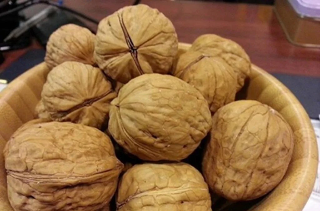 Obrázek k článku: Jako čerstvě utržené: tipy na skladování vlašských ořechů