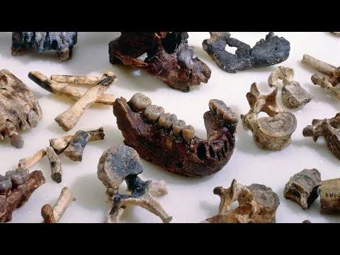 Video k článku ZDE