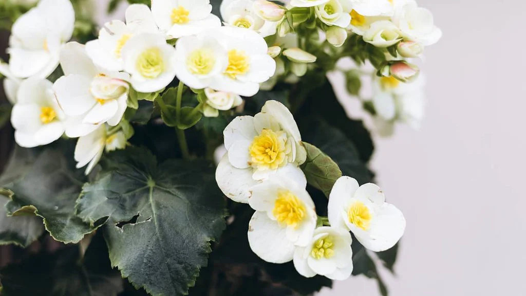 Tohle je ten nejlepší lék na podzimní depku. Vyzkoušejte to