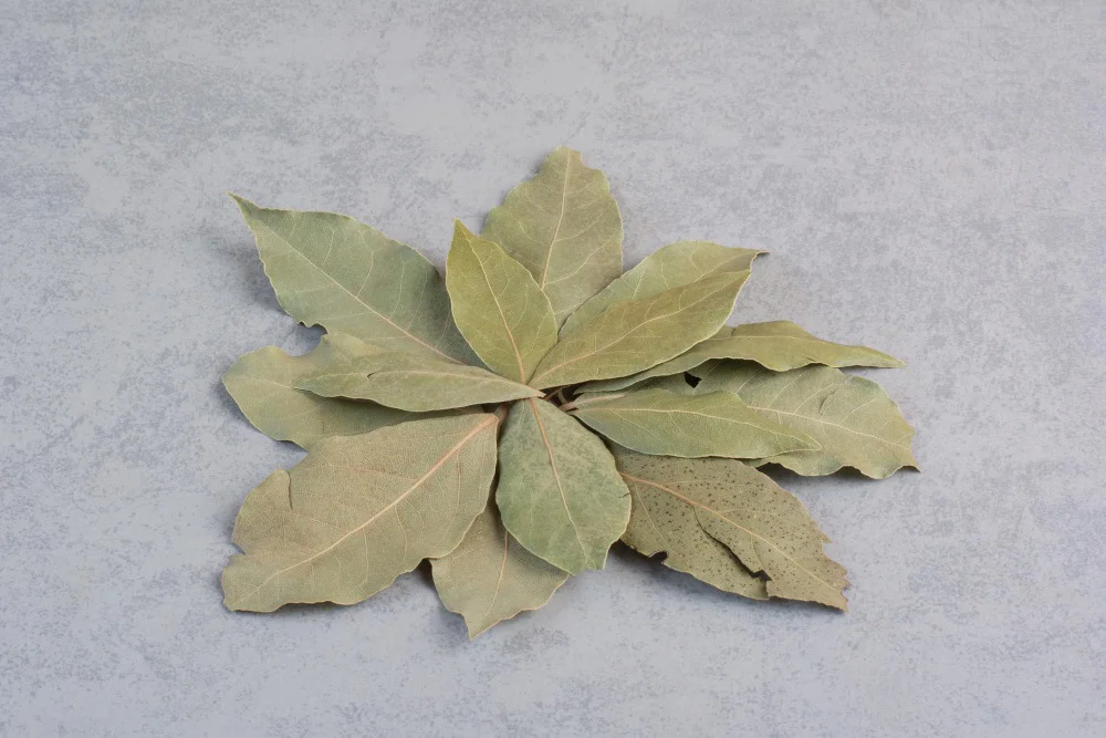 Sušené bobkové listy srovnané do tvaru hvězdy