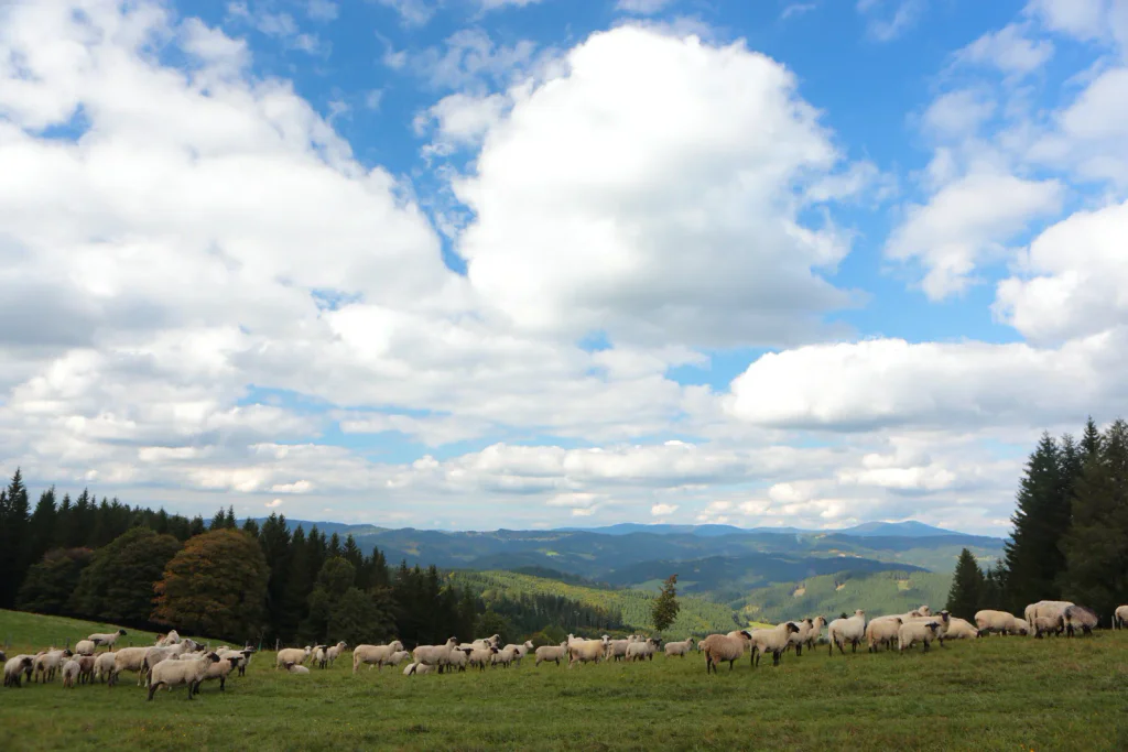 Schované uprostřed lesa: Lázně, o kterých se nemluví, ale kdo tam byl, na jiné už nezajde.