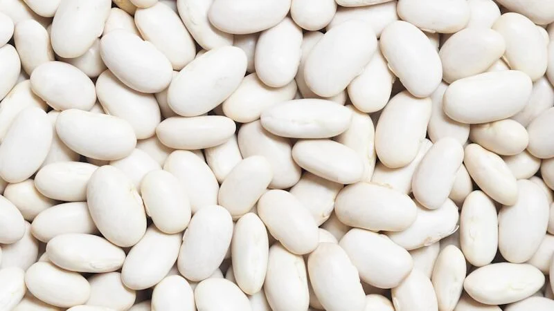 Bílé fazole