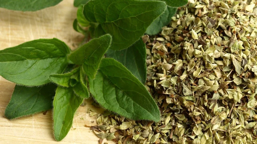 Koření oregano na stole 