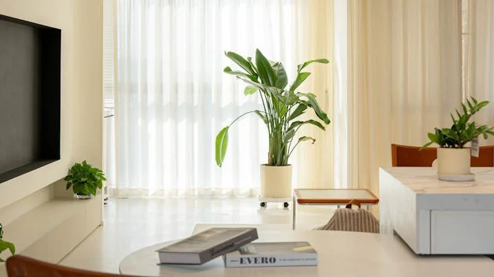 Globální rozmanitost