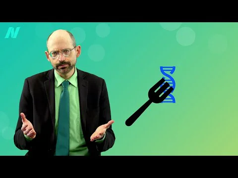 Video k článku ZDE