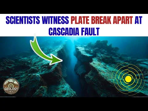 Video k článku ZDE