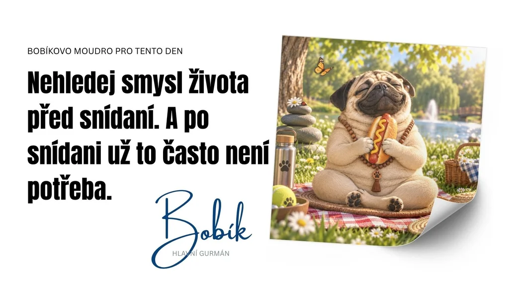 Bobikovia do zasoby (1)