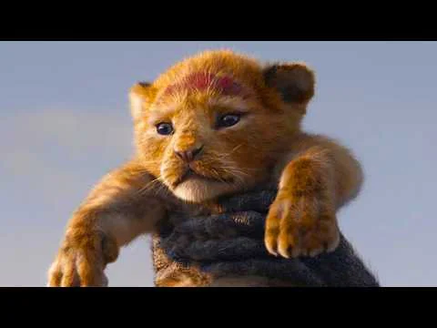 Video k článku ZDE