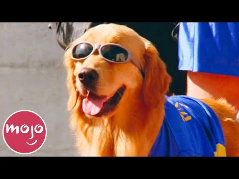 Video k článku ZDE