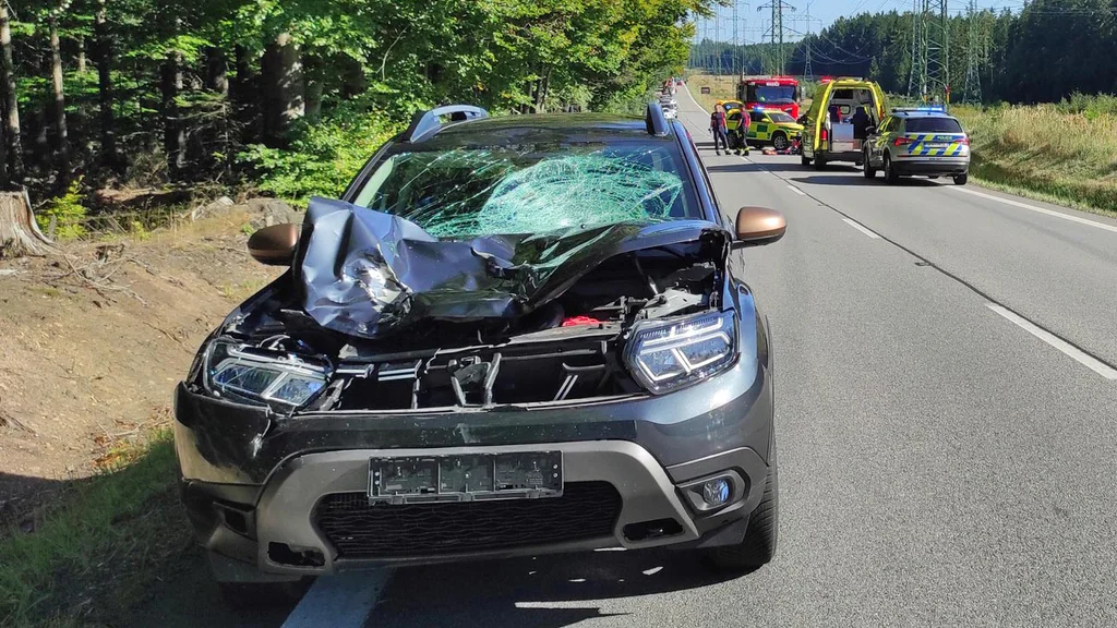 Záhada tragické smrti biatlonisty Jana Vaňhy. Srazilo ho auto, rodina ...