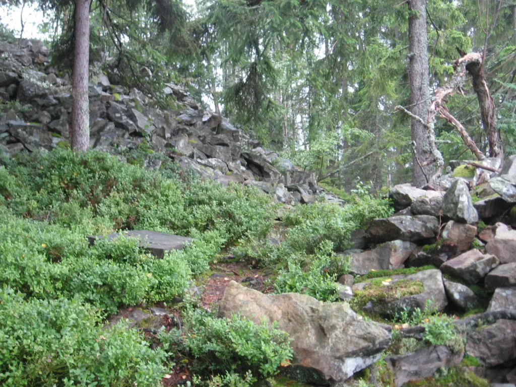 Pozůstatky hradeb Obřího hradu na Šumavě