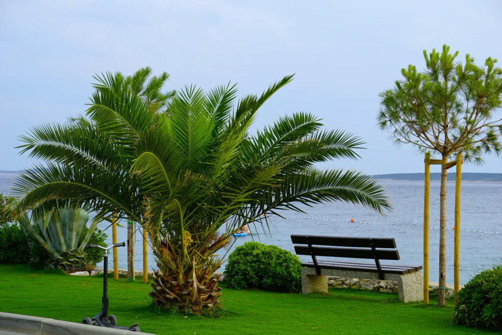 Otrava jídlem přímo v hotelu. Účet za ošetření mě šokoval víc než bolest břicha, nevěřila jsem vlastním očím.