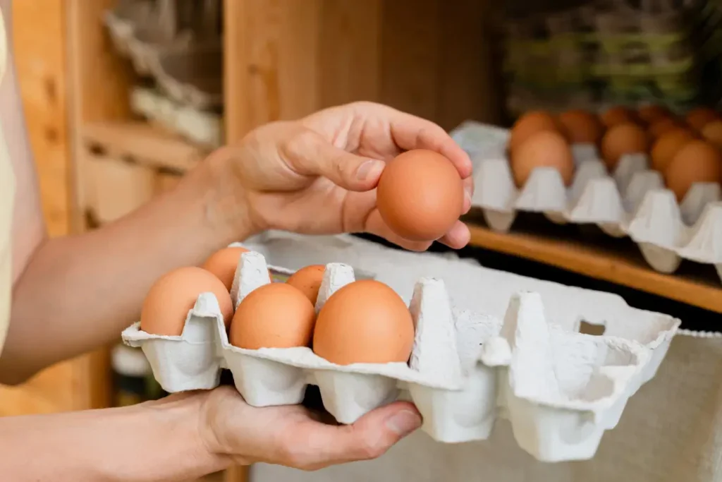 Ruce držící čerstvá vejce v papírovém obalu