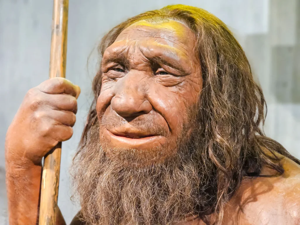 obličej neandrtálce