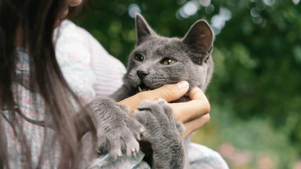 Teplo, bezpečí a trocha lidské pomoci