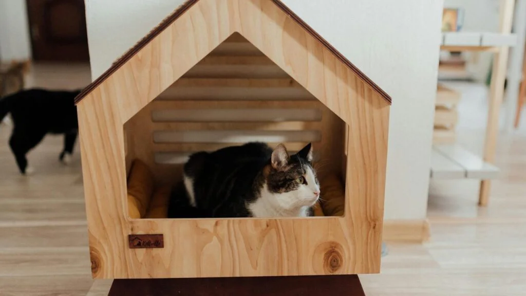 Přístřešek je víc než jen pelíšek